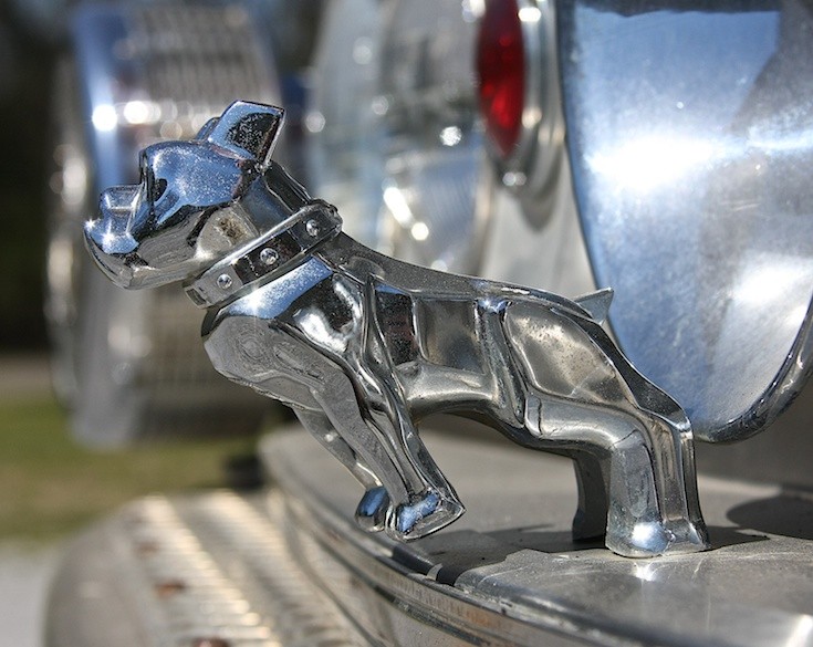 Mack Bulldog
