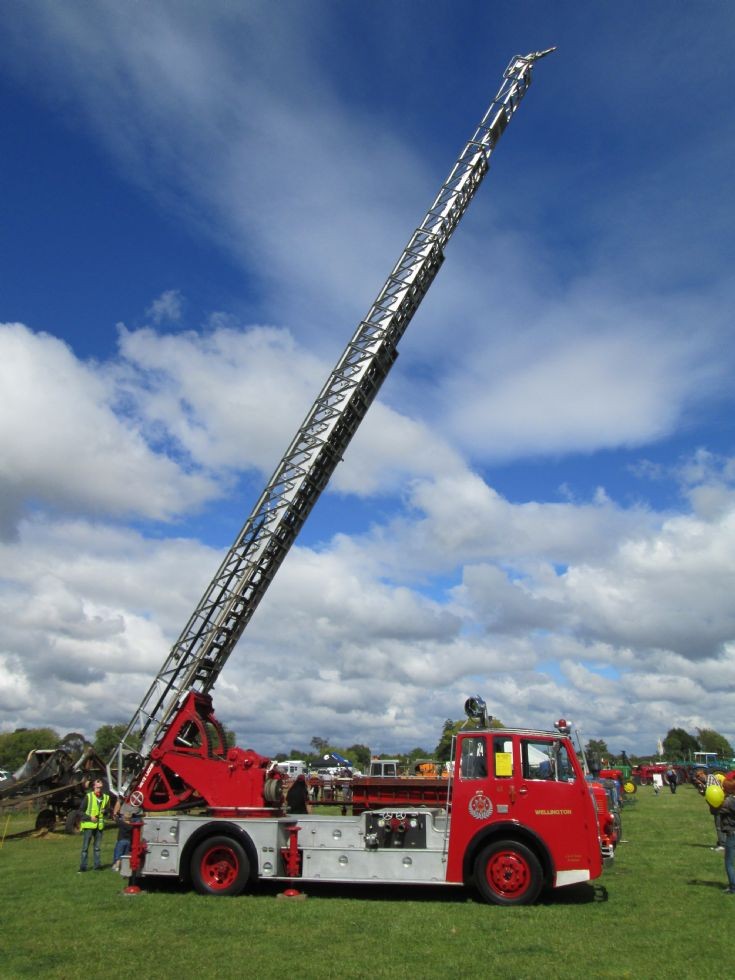 New Zealand Wellington Dennis F14 ladder