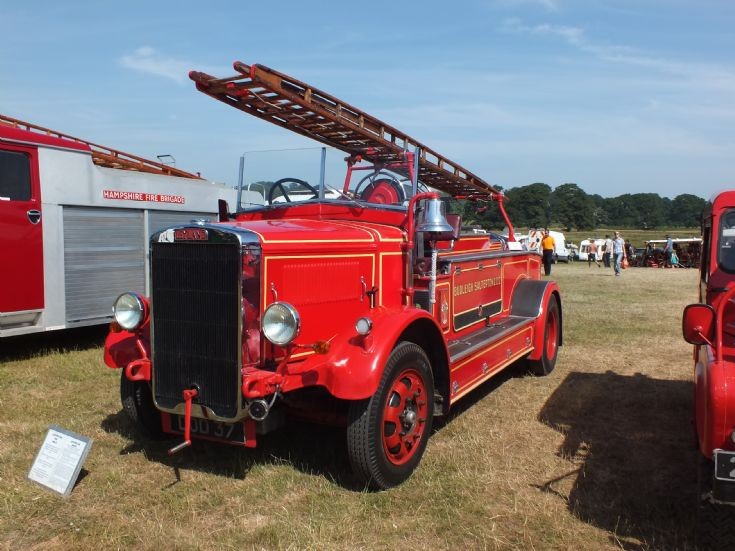 DOD 37 Leyland Cub