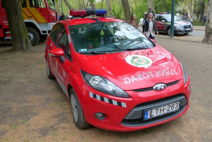 Ford Fiesta Chief 1