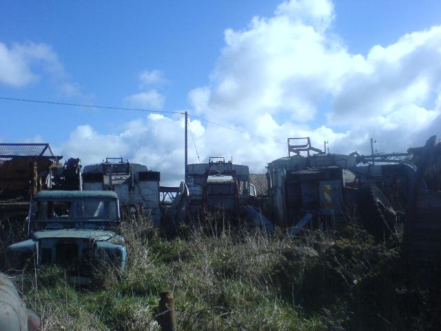 Several Dennis' in grave yard 05-04-08