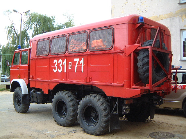 Polish beast (backside)