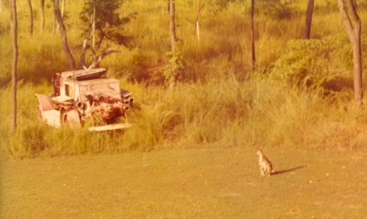 remains of a Dennis