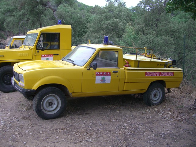 CCFl Peugeot 305 Dangel 600 litres