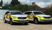 ESFR Skoda's