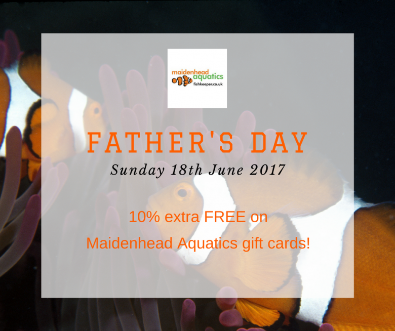 Fathers Day Gift Cards