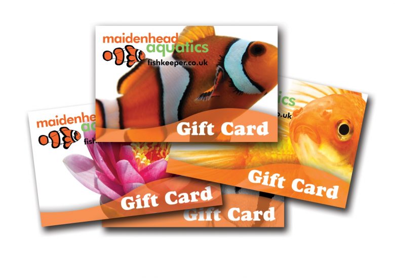 Gift Card Montage