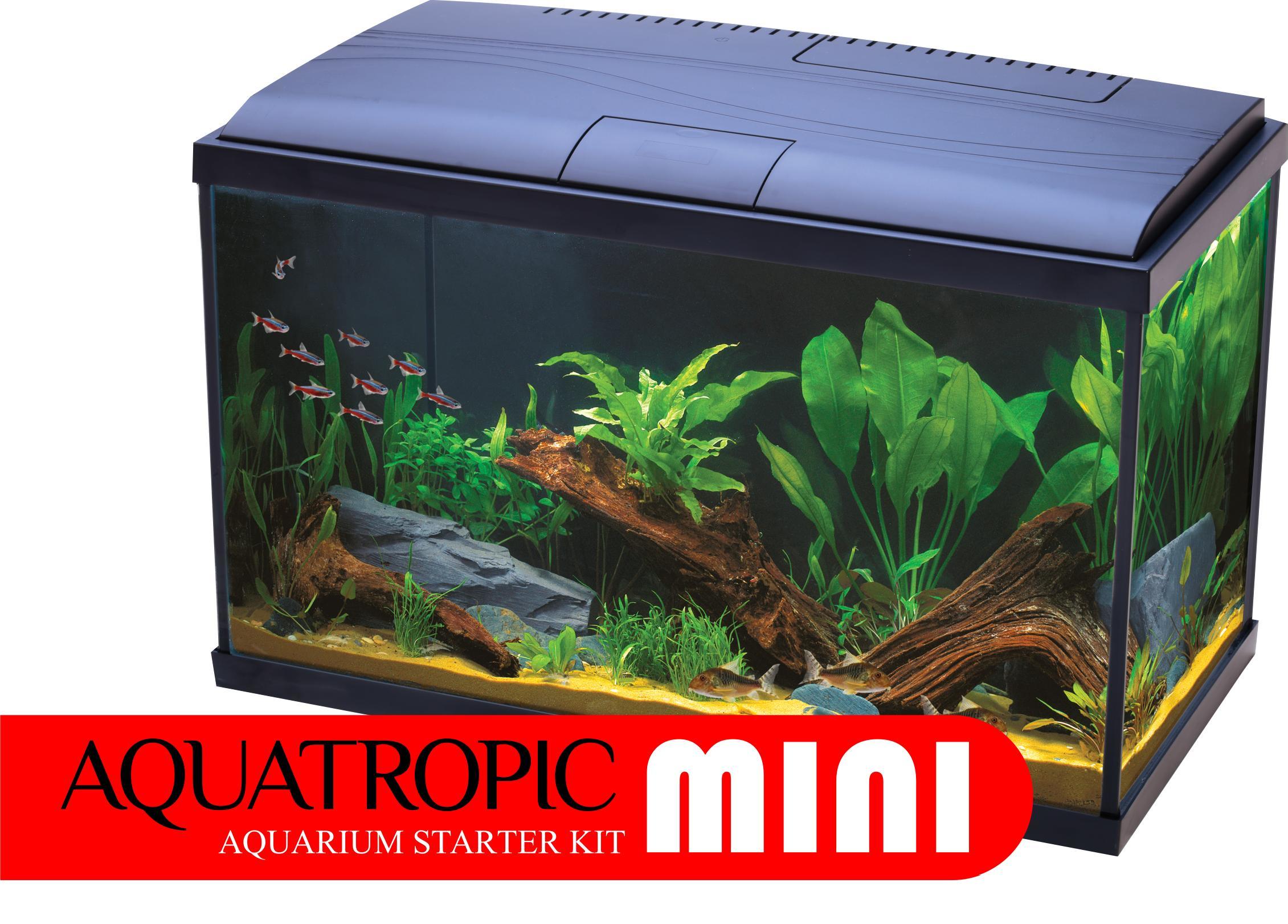 Aqua Tropic MINI MIDI and MAXI Cold Water Aquarium Set Maidenhead