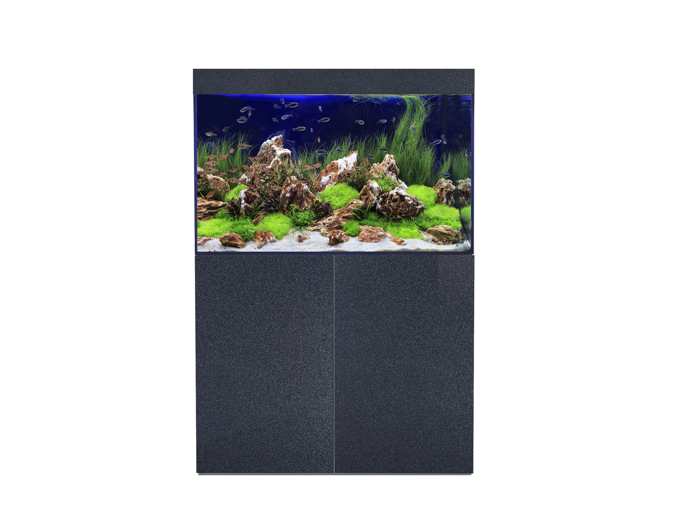 evolution aqua eafreshwater 900