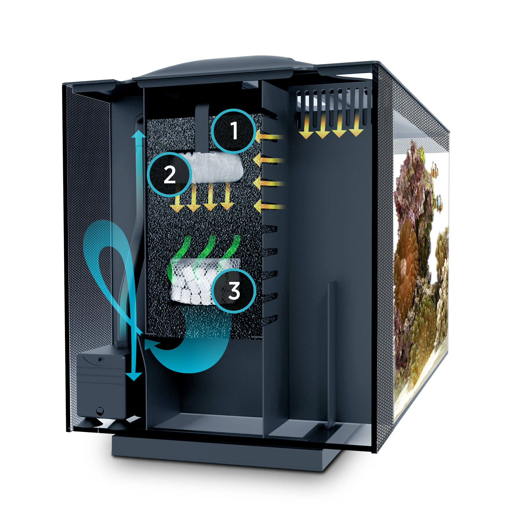 Fluval SEA Evo 52L Aquarium Maidenhead Aquatics