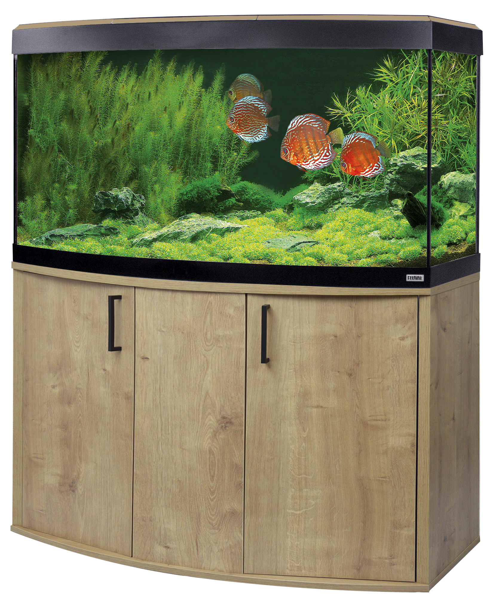 Fluval Vicenza 260 LED Aquarium Kit Maidenhead Aquatics