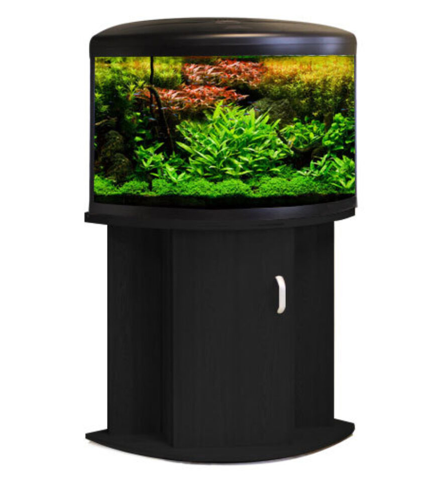 Aqua One UFO 550 Corner Aquarium with Black Black Maidenhead Aquatics