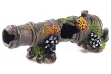 Cannon