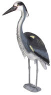 Heron