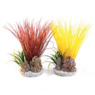 Sydeco Acorus Colour Rock (25cm)