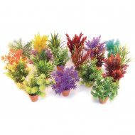 Sydeco Aquaplant Mixed Small in Pot