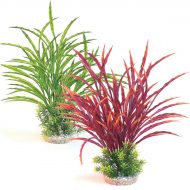 Sydeco Atoll Maxi (42cm)