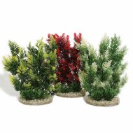Sydeco Aquaplant- Hedge (24cm)