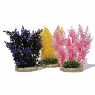 Sydeco Aquaplant Colour- Hedge (23cm)
