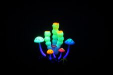 Aqua Lumo Coral Sponge Plant
