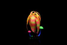 Aqua Lumo Rose Stripe Plant