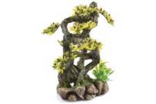 Bonsai Climber