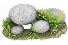 Pebble Garden