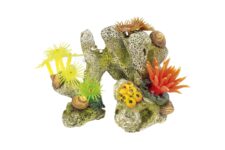 Coral Stone / Plants