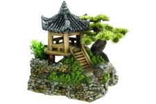 Pagoda House & Plants
