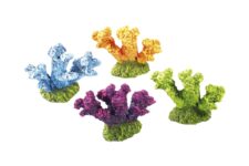 Coloured Coral