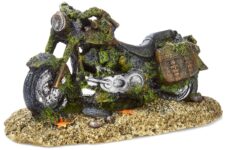 Motorcycle Wreckage