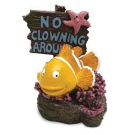 Blue Ribbon 'No Clowning Around' Fish (7 x 8 x 9cm)