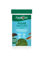 40g