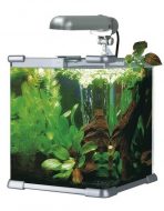 Superfish Aqua Cube Sets