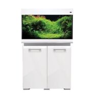 White and White Cabinet