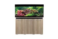 Black and Nash Oak Cabinet