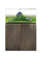 Bronze Stone