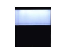 Ultra Gloss Black Cabinet