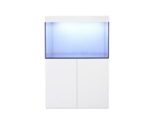 Ultra Gloss White Cabinet