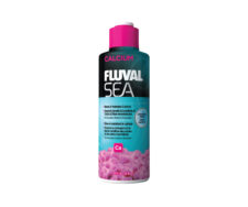 437ml