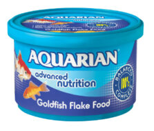 25g