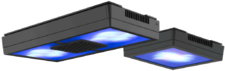 Radion XR15w Diffuser