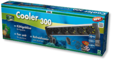 300