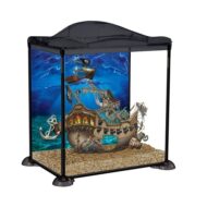17L Pirates Aquarium