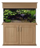 Seashell 'Elite' 36" x 15" x 20" Aquarium, Hood & Cabinet - Oak