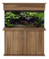Seashell 'Elite' 36" x 15" x 20" Aquarium, Hood & Cabinet - Tiepolo