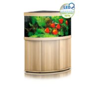 Light Wood