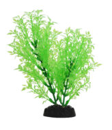 AquaManta Plastic Plant - Green Selgainella (20cm)