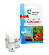 Aquarium Münster Aquavital Bactosprint 6-week cure