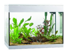 Askoll PURE L Aquarium - White